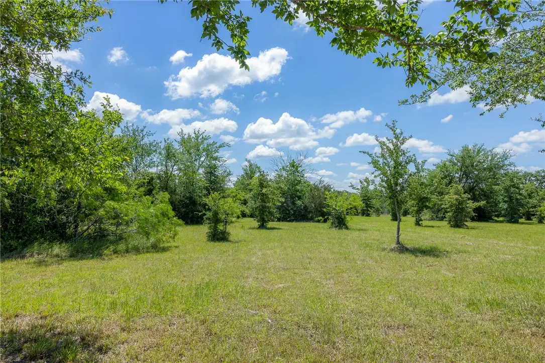 6798 Atakapan Trail, Bedias, TX 77831 - #1
