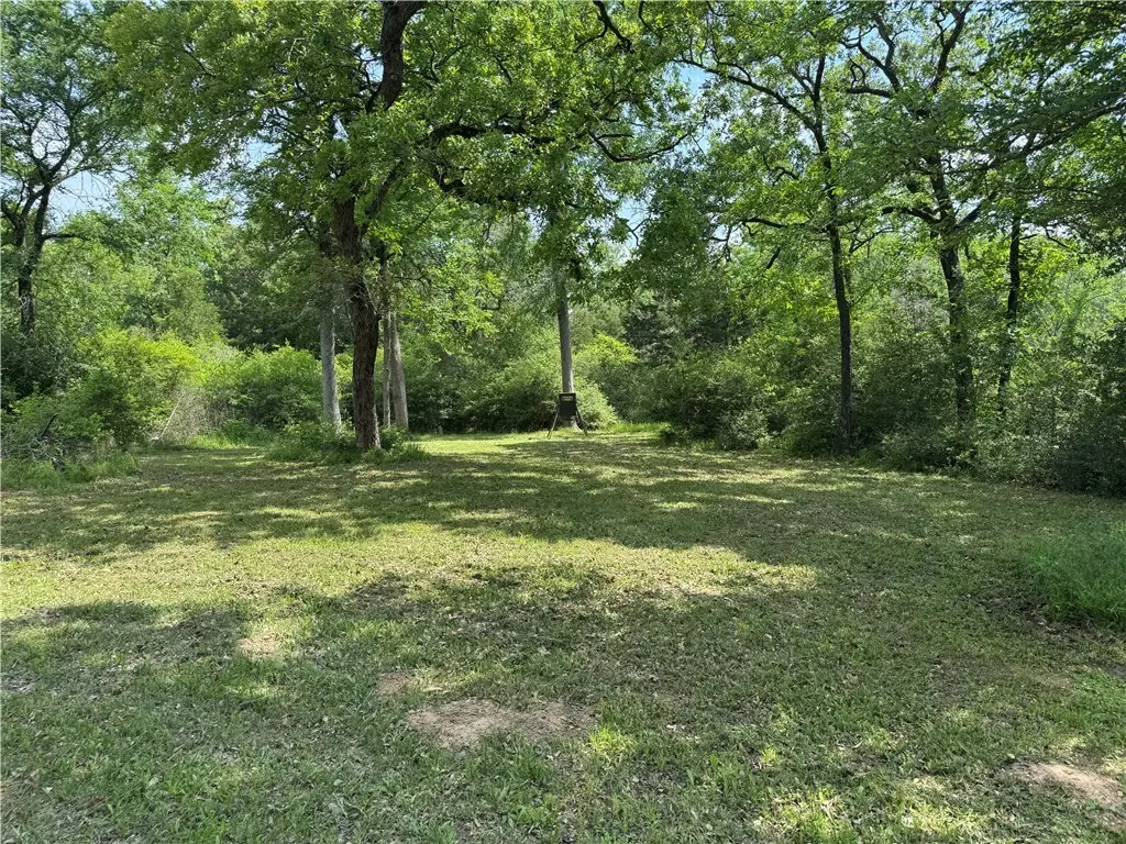 18242 Old Bundick Road, Hearne, TX 77859 - Image #1