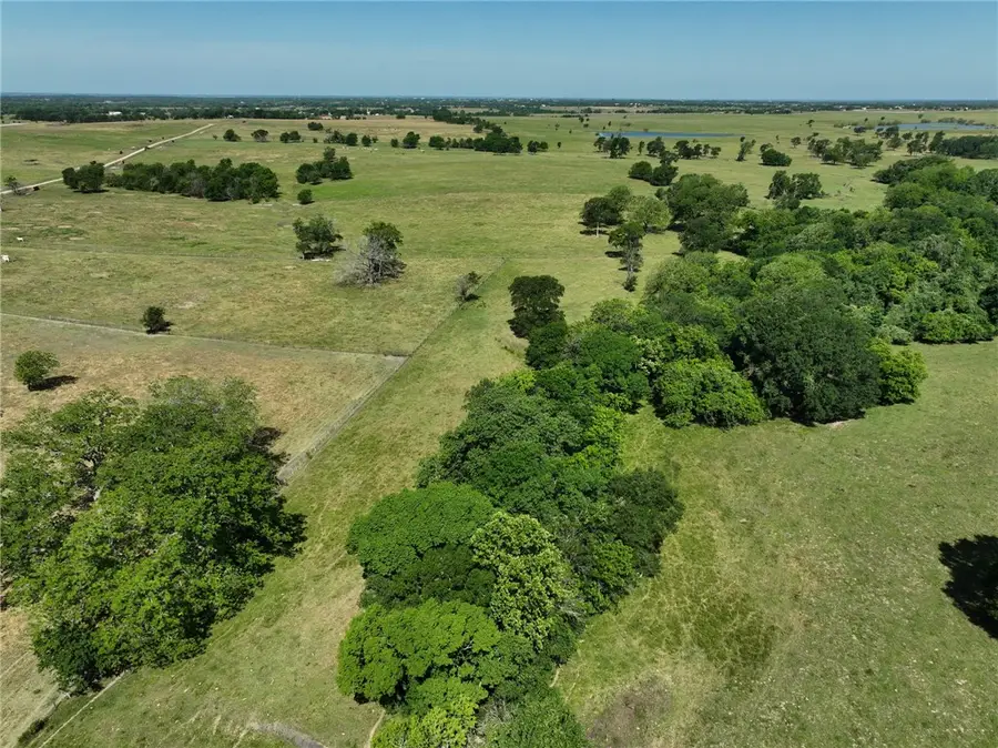Tract #5 County Road 305, Navasota, TX 77868 - Image #3