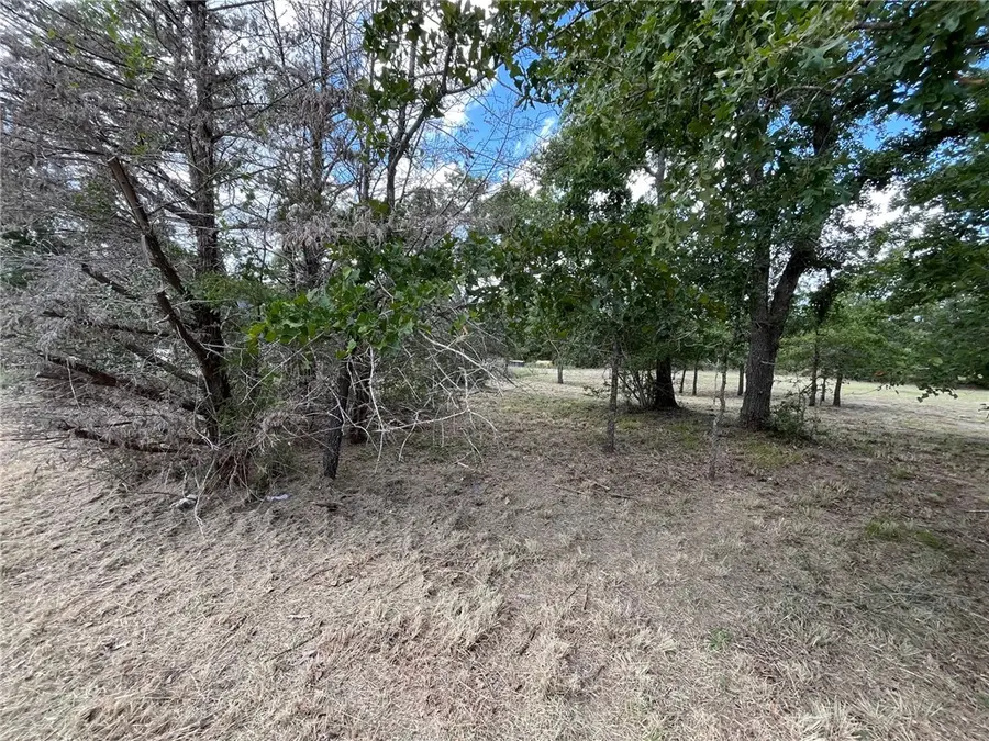 TBD Lot 33 Apache Drive N, Somerville, TX 77879 - #3
