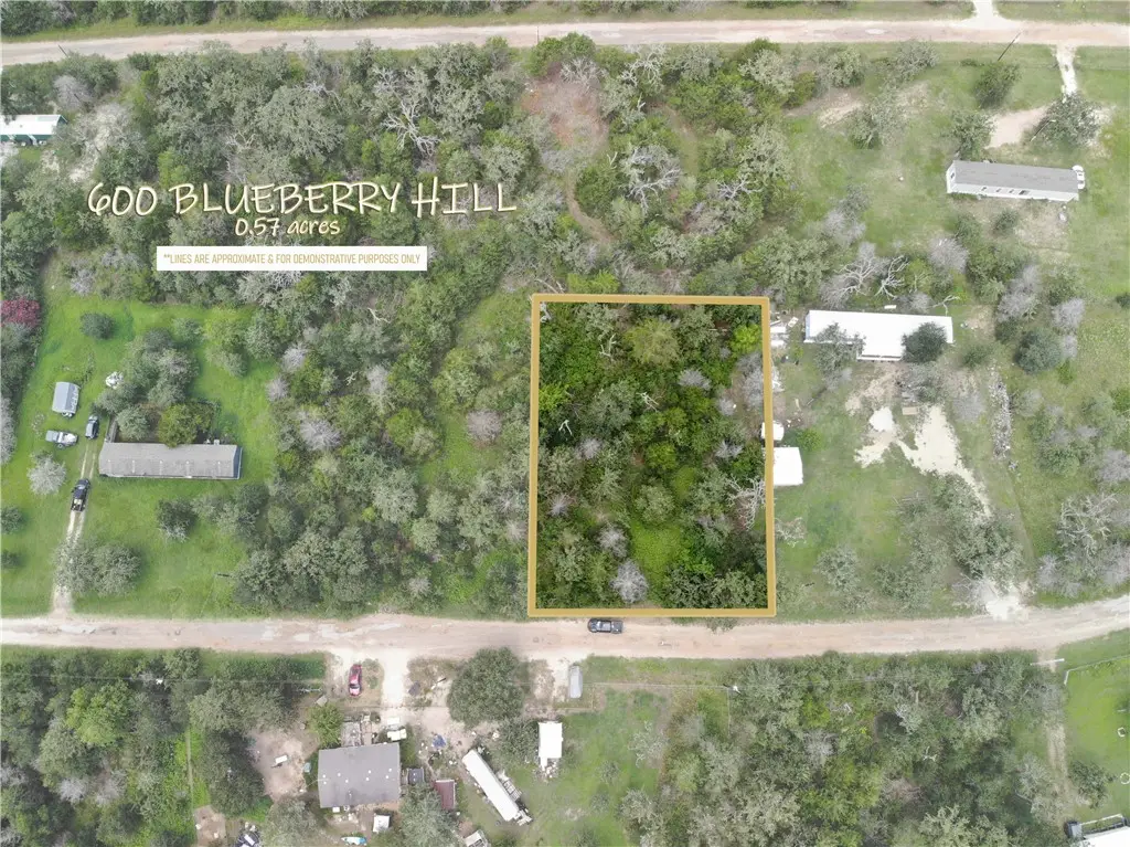 600 Blueberry Hill Road, Somerville, TX 77879 - #1