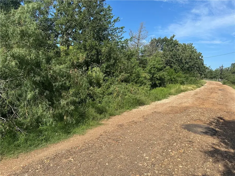 600 Blueberry Hill Road, Somerville, TX 77879 - #3