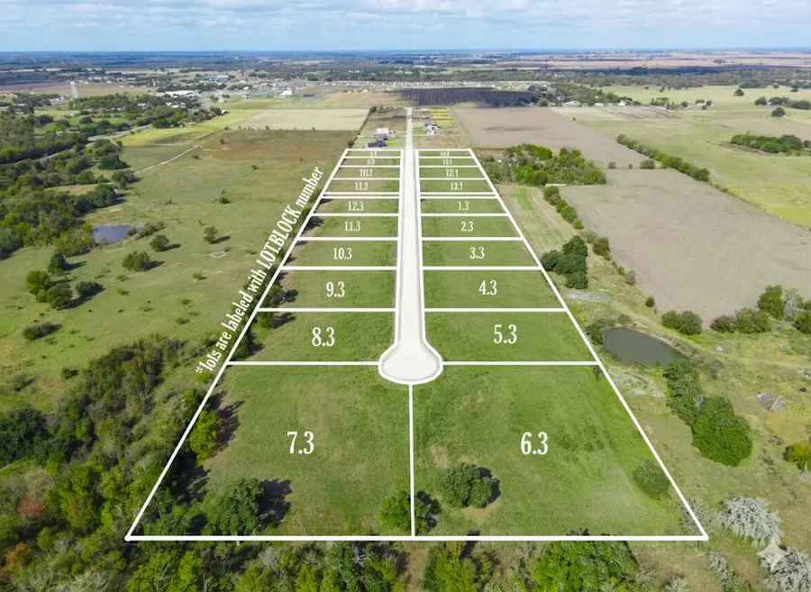 Lot 3 Block 3 Court-side Drive, Snook, TX 77878 - Image #2