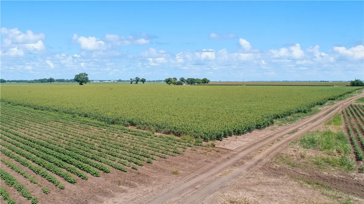 12485 Sandy Point Road, Bryan, TX 77807 - #1