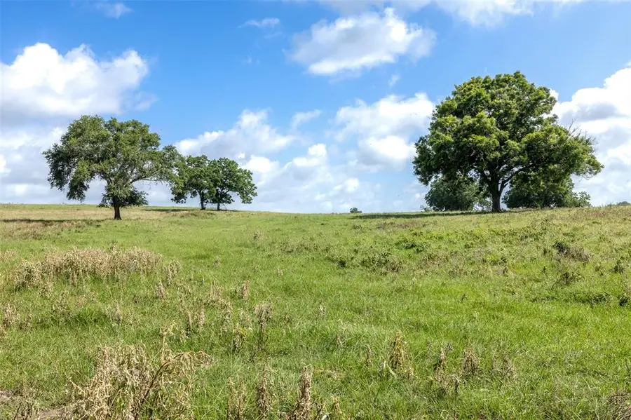 6550 Gibbs Creek Road, Chappell Hill, TX 77426 - #3