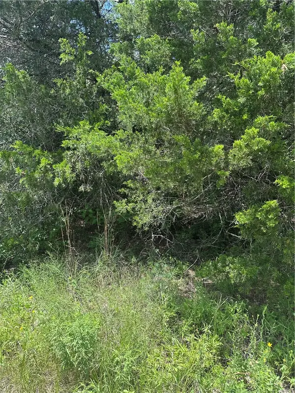 0 Chestnut Drive, Caldwell, TX 77836