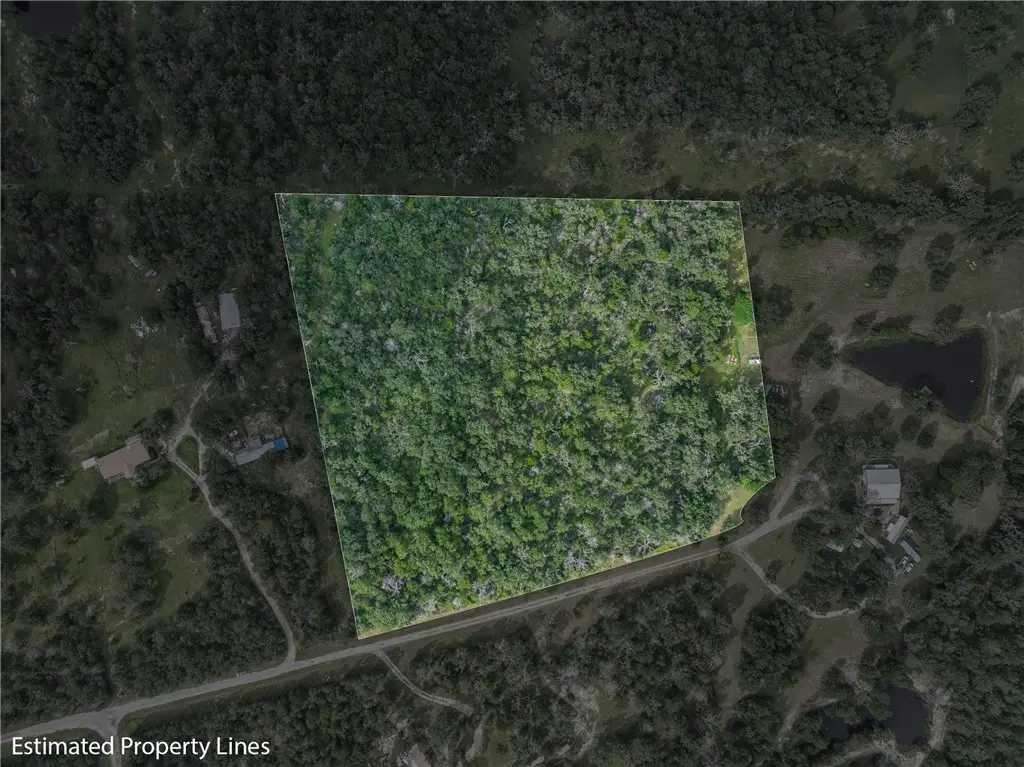 531 Moss Oak Drive, Somerville, TX 77879 - #1