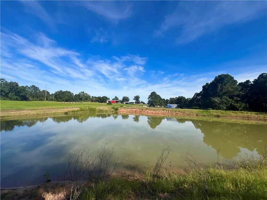 12419 Private Road 1390, Centerville, TX 75833 - #1