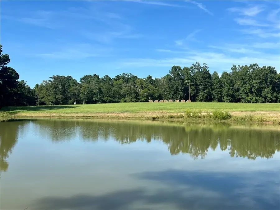 12419 Private Road 1390, Centerville, TX 75833 - #3