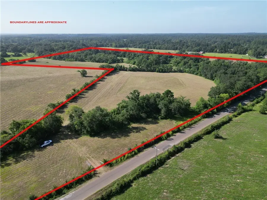 44.33 Acres County Road 202, Plantersville, TX 77363 - Image #2