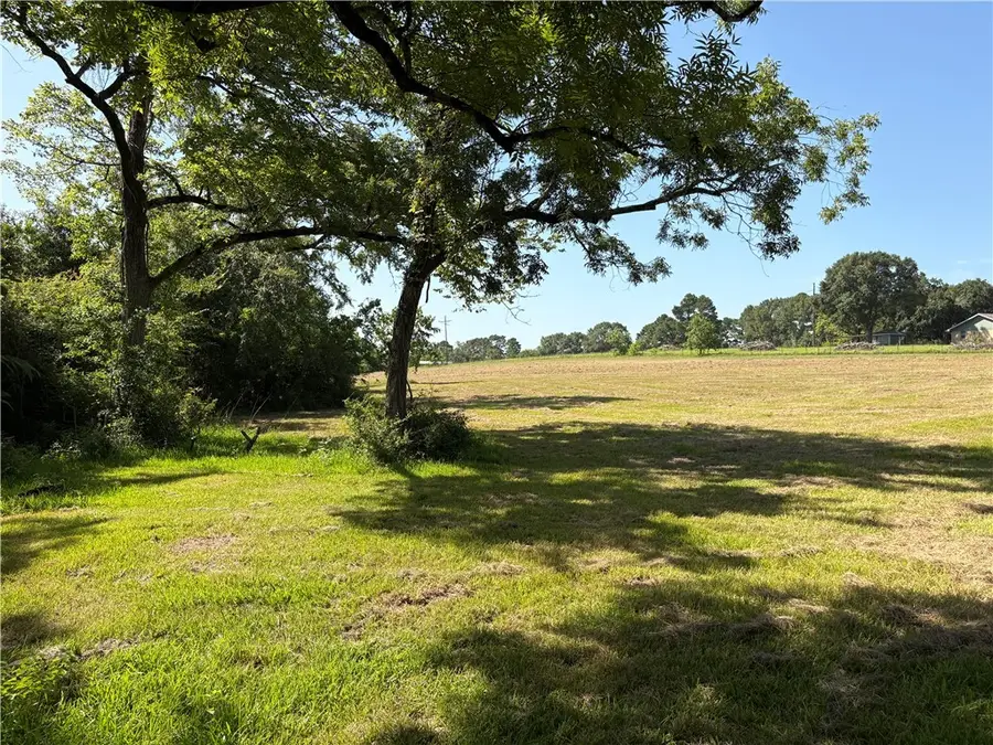 44.33 Acres County Road 202, Plantersville, TX 77363 - Image #3