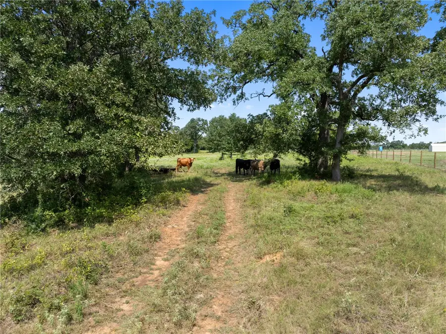 TBD Cazey Loop, Franklin, TX 77856 - #2