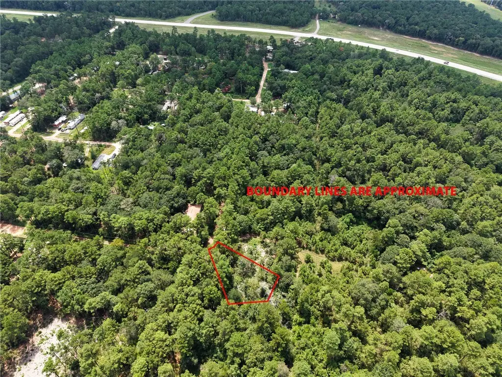 TBD Smokethorn Lane, Plantersville, TX 77363 - #1