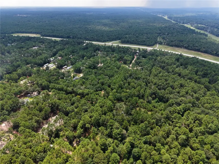 TBD Smokethorn Lane, Plantersville, TX 77363 - #3