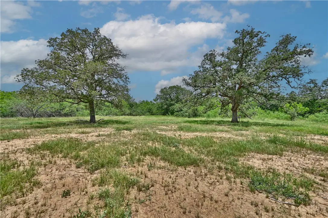 159 Starlight Path, Red Rock, TX 78662 - #1