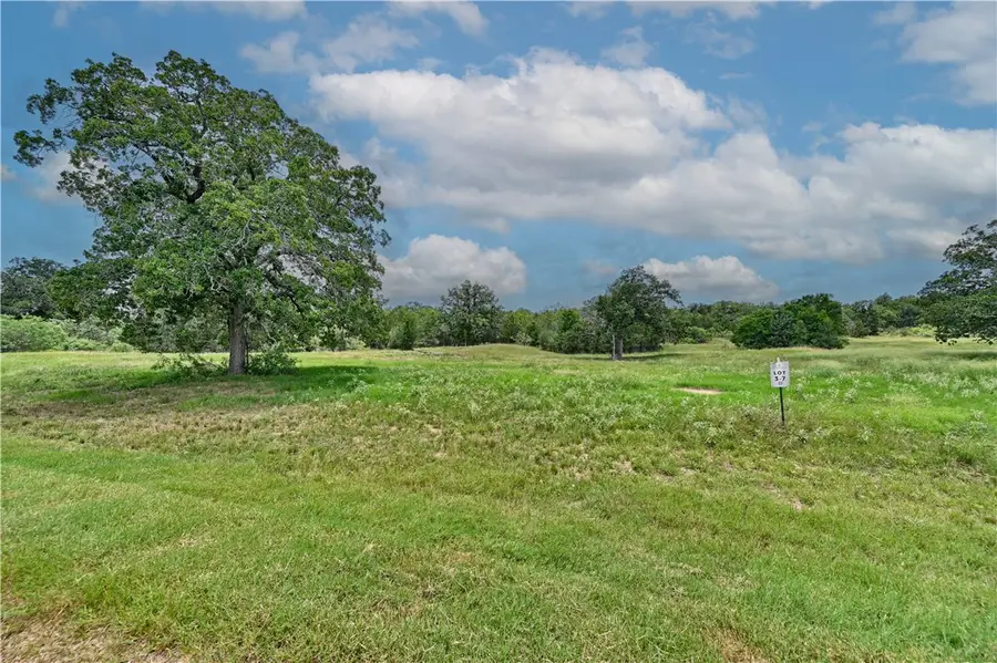 159 Starlight Path, Red Rock, TX 78662 - #2