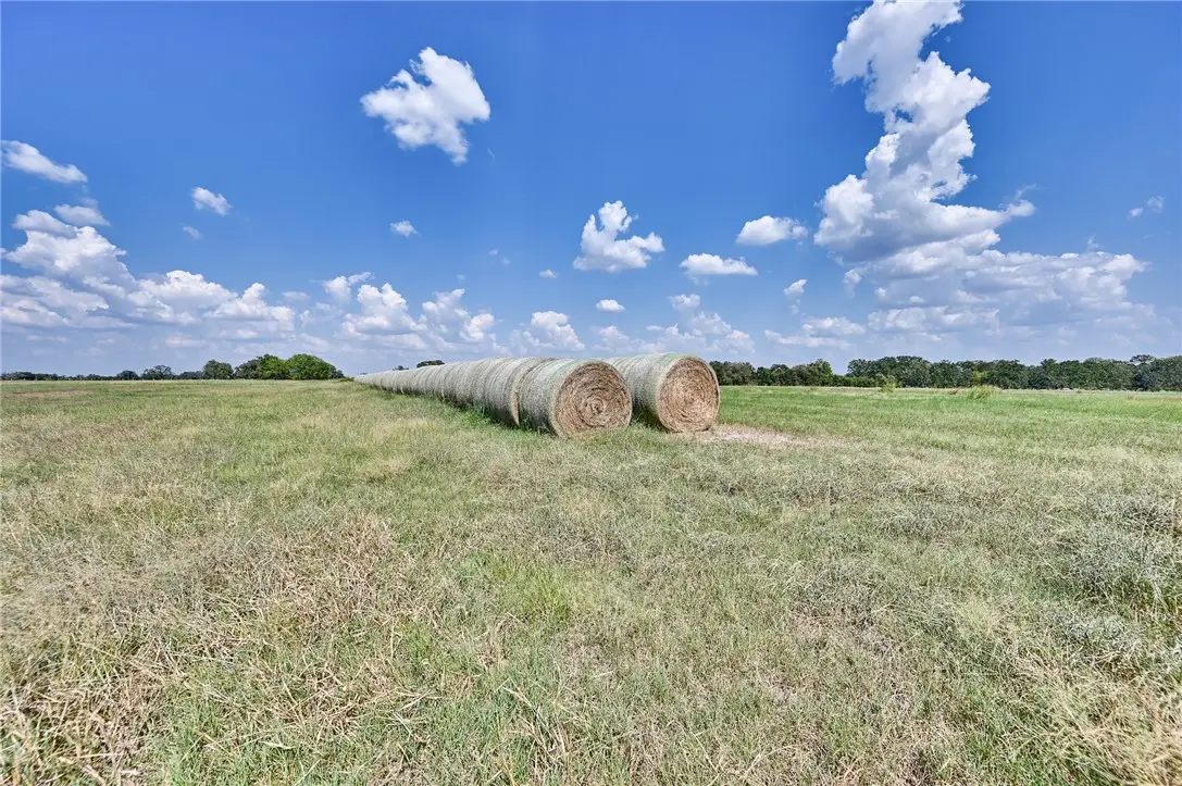 TBD Fm-60, Caldwell, TX 77836 - Image #1