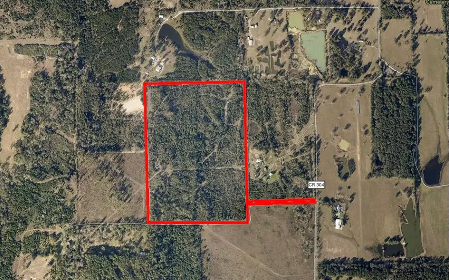 TBD County Road 304, Navasota, TX 77868 - #2