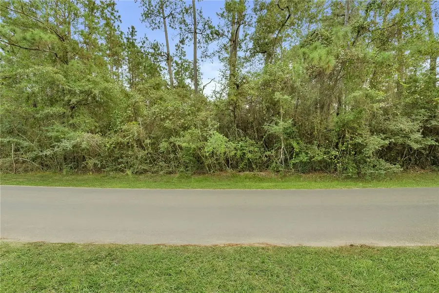 000 County Road 201 Loop, Plantersville, TX 77363 - #2