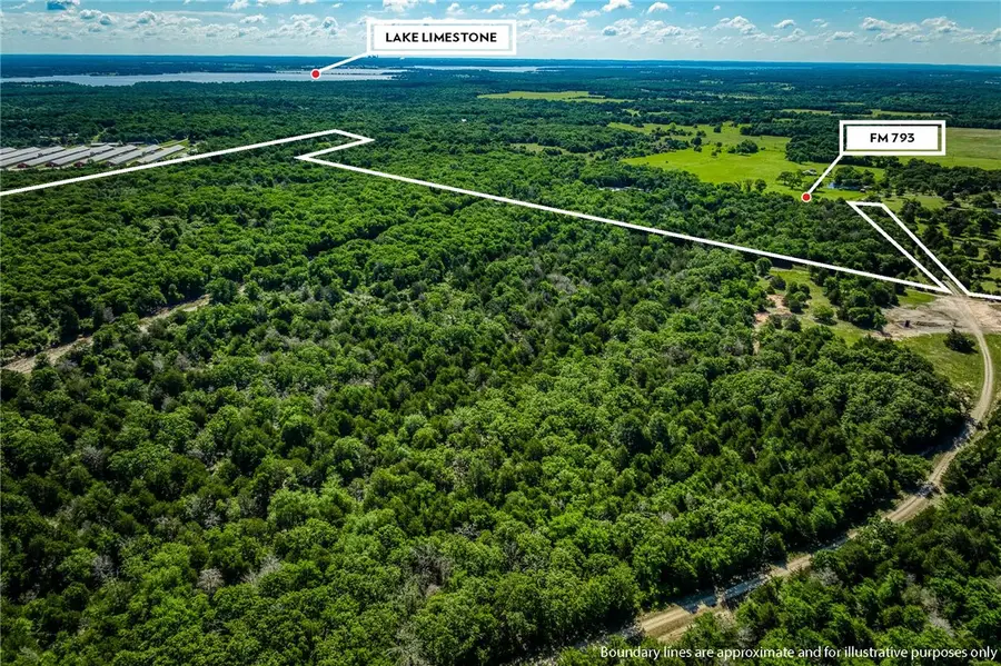 511 Lcr 793, Groesbeck, TX 76642 - #3