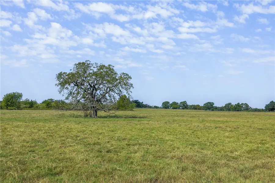 Tract 6 Rolke Ranch Road, Franklin, TX 77856 - Image #3