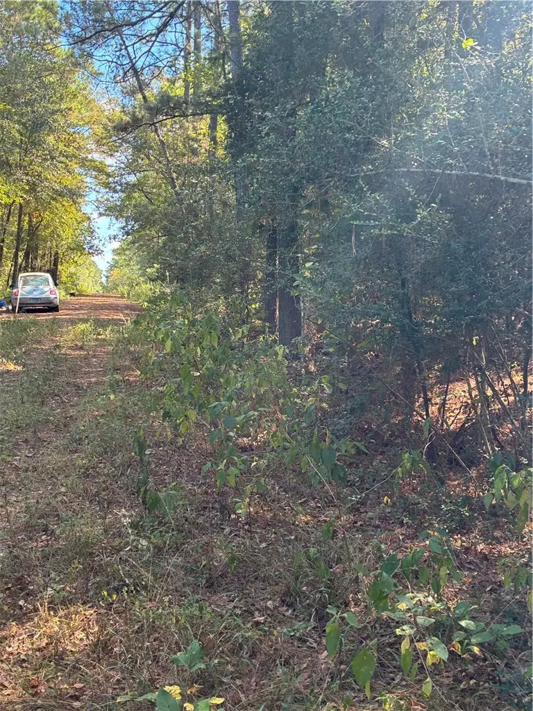 0 Hickory Hill Road W, Navasota, TX 77868 - Image #1