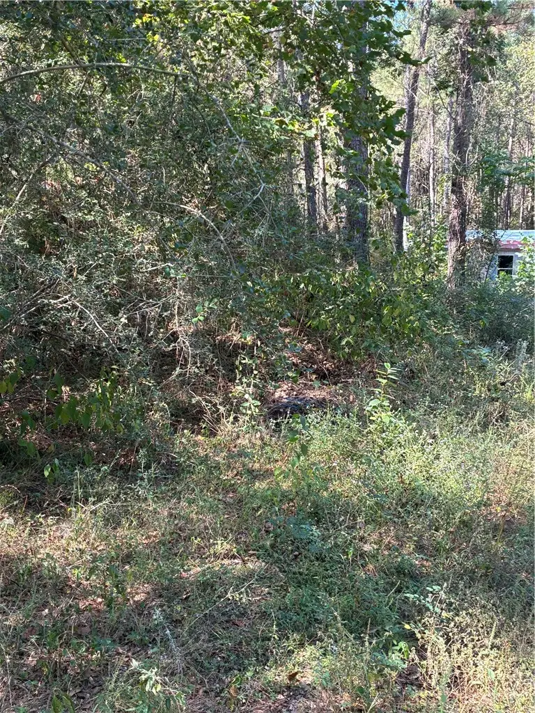 0 Hickory Hill Road W, Navasota, TX 77868 - Image #2