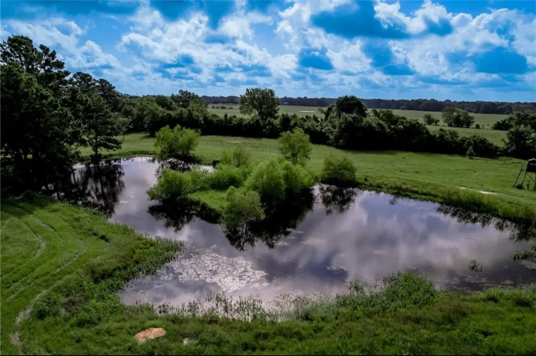 TBD County Rd 3495, Other, TX 75851 - #1