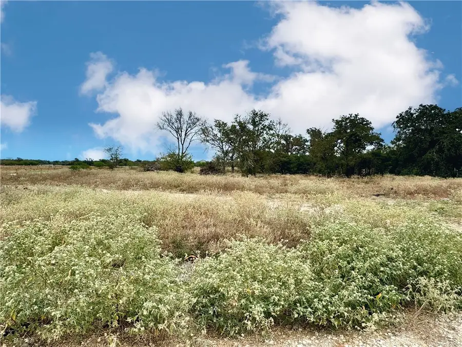 7556 Garrison Creek Drive, Bryan, TX 77808 - Image #3