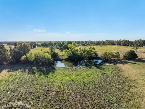 TBD Cr 163, Caldwell, TX 77836 - #3