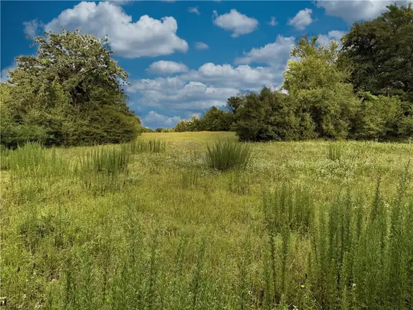 TBD E Old Hickory Grove Road Co Ne Countyroad Ne, Franklin, TX 77856