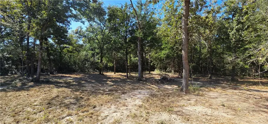 3057 Discovery Lane, Franklin, TX 77856 - Image #3