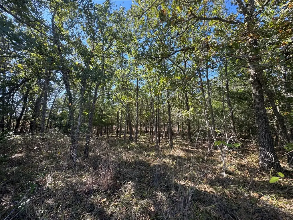 Lot 14 Shady Oaks Lane, Somerville, TX 77879 - Image #1