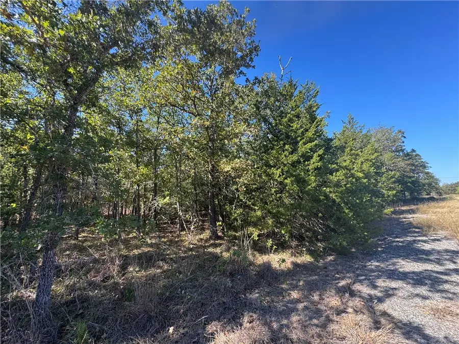 Lot 14 Shady Oaks Lane, Somerville, TX 77879 - Image #2