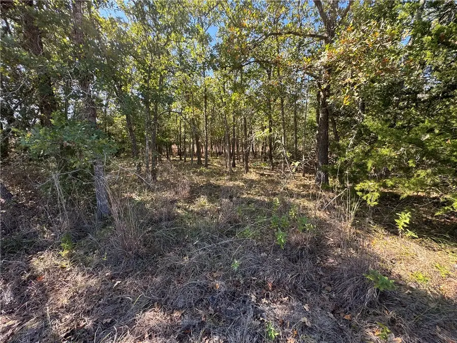 Lot 14 Shady Oaks Lane, Somerville, TX 77879 - Image #3