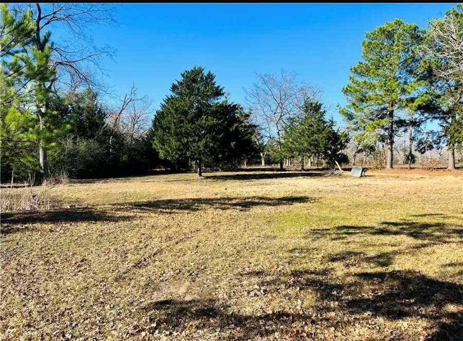 19645 Megan St, Bedias, TX 77831 - Image #3