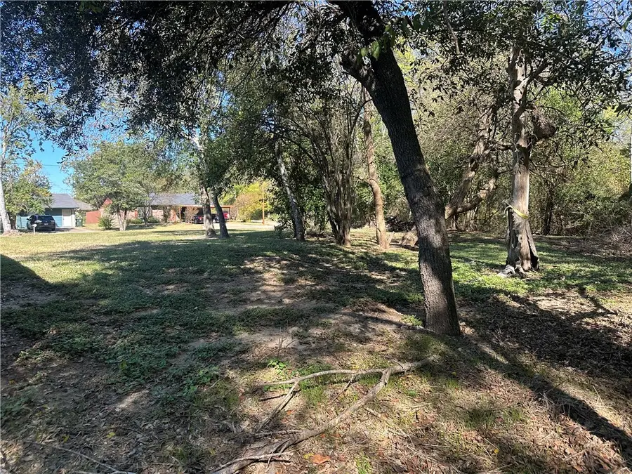 2121 Manning Way, Bryan, TX 77803 - Image #2