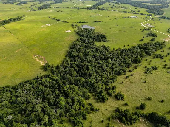 165 Acres Turner Ln, Franklin, TX 77856 - Image #2
