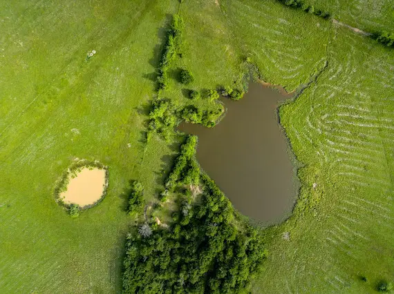 165 Acres Turner Ln, Franklin, TX 77856 - Image #3