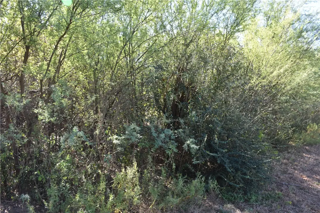 3600 Hawks Street, Bryan, TX 77808 - Image #1