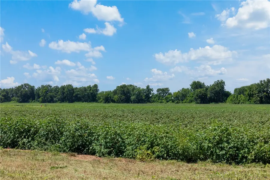 000 Farm Road 50, Snook, TX 77879 - Image #3