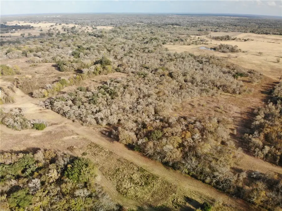 15.85 Acres Private Road 4001, Somerville, TX 77879 - Image #3
