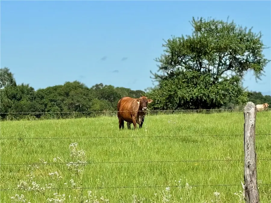 6376 Garhole View Lane, Bryan, TX 77808 - #2