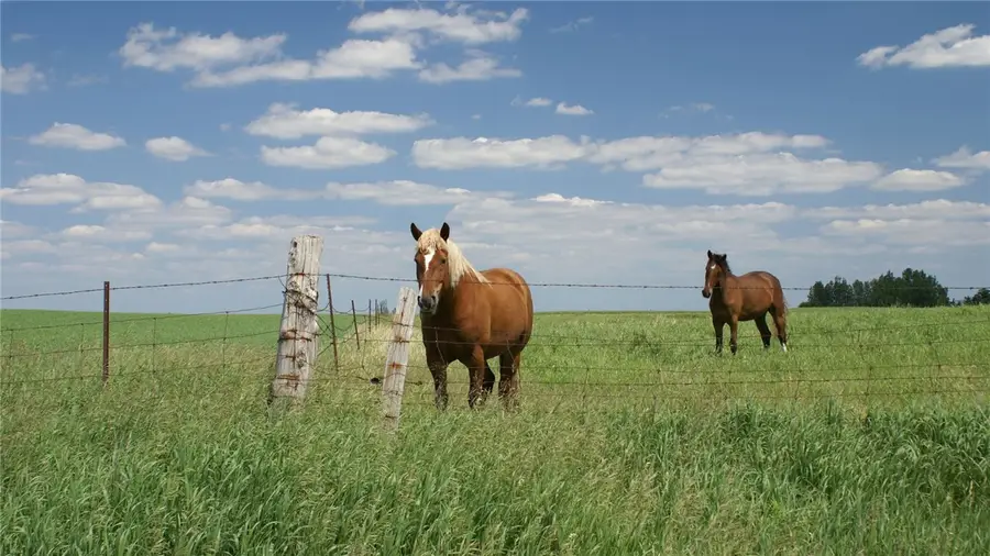 3501 Hunters Crossing Trail, Bryan, TX 77808 - #3