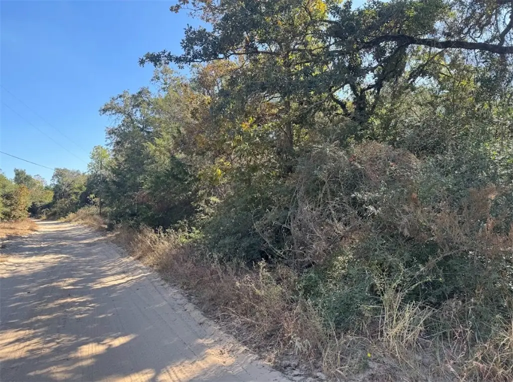 TBD Oaks Drive, Caldwell, TX 77836 - Image #1