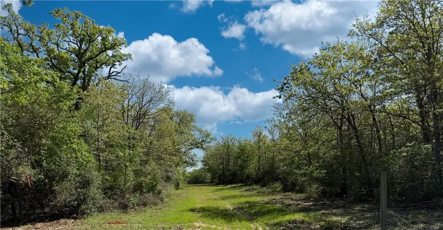12538 S E B Watson County Road Se, Bremond, TX 76629 - Image #2