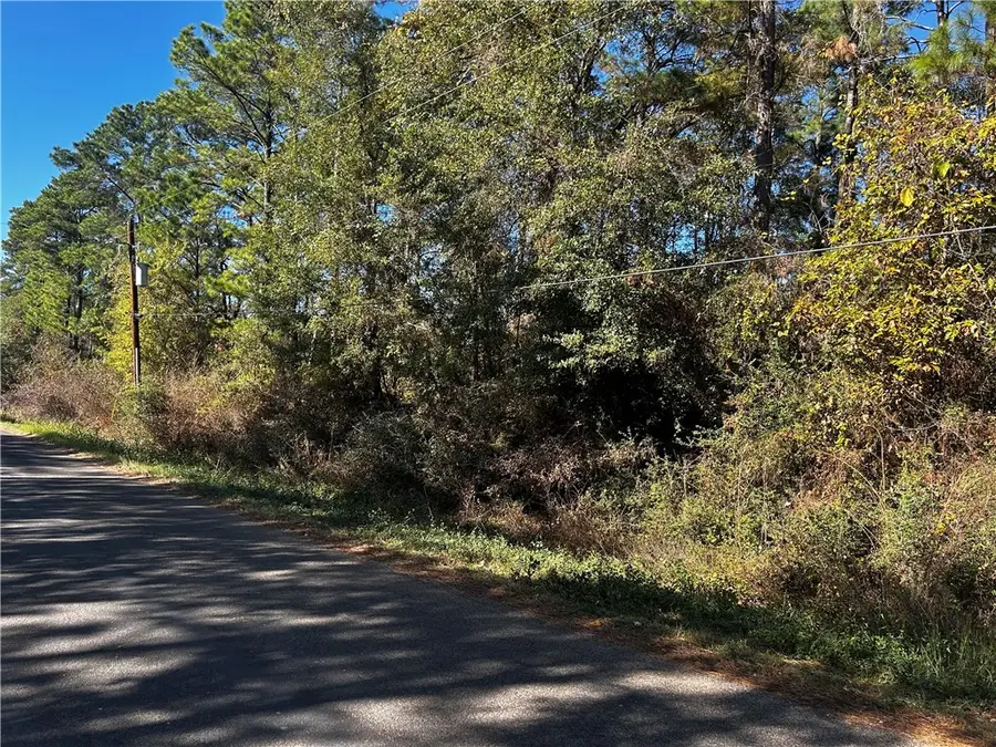 0 Hickory Hill Road W Road, Navasota, TX 77868 - Image #2