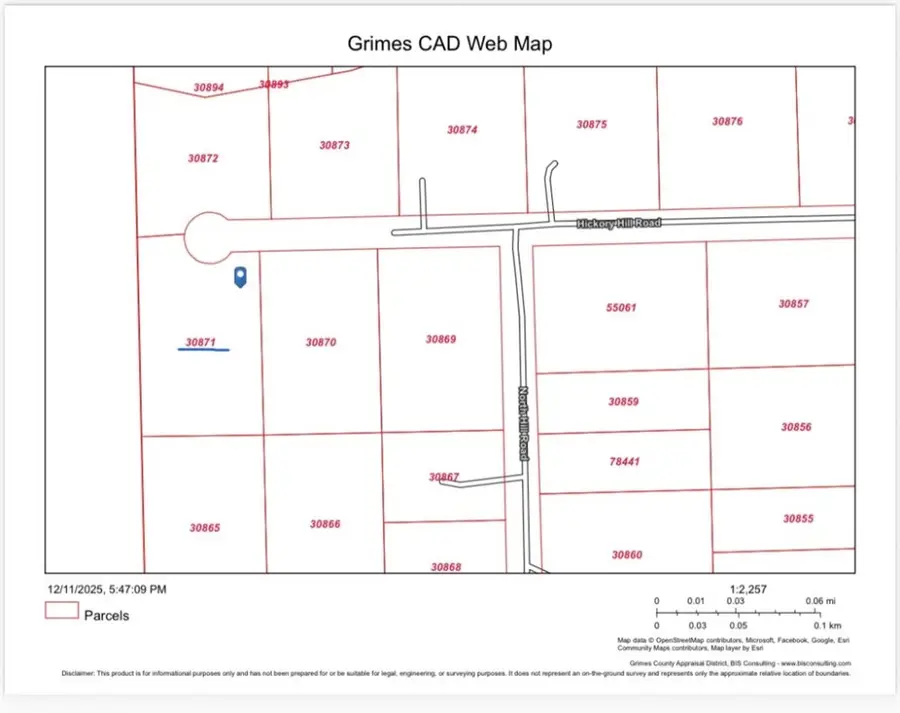 0 Hickory Hill Road W Road, Navasota, TX 77868 - Image #3