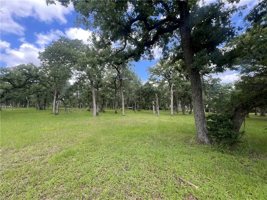 Lot 568B Deer Ledge, Caldwell, TX 77836 - Image #3