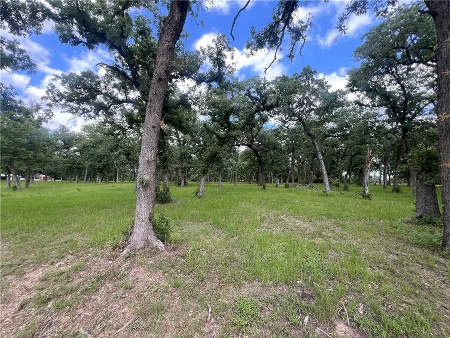 Lot 570 Deer Ledge, Caldwell, TX 77836 - Image #3
